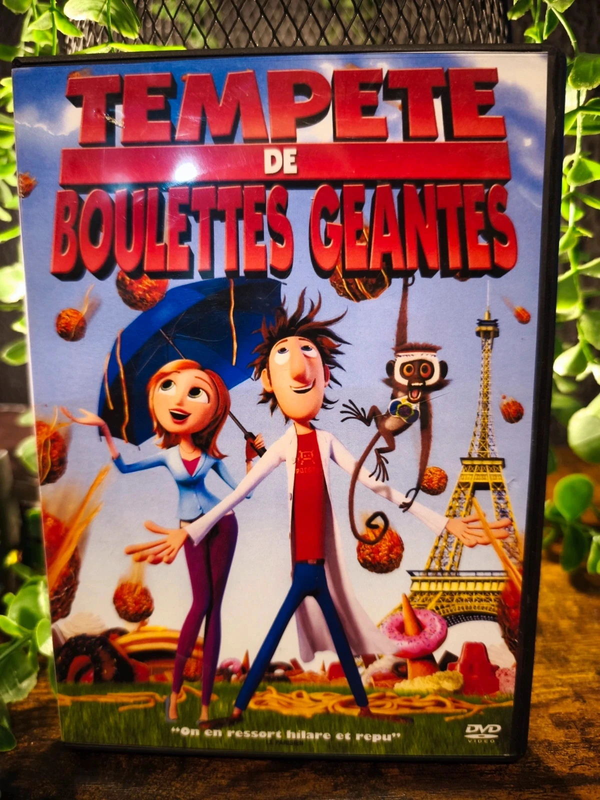 Tempête de boulettes géantes